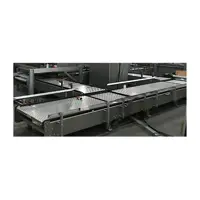 Chain Conveyor