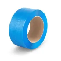 PP Strap Blue-Main